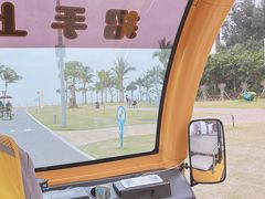 -野狸岛