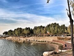 -丁香湖公园