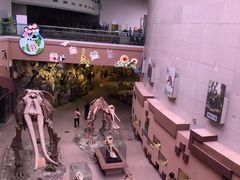 -陕西自然博物馆