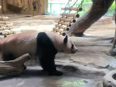 -常州淹城野生动物世界
