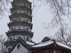 -哈尔滨极乐寺