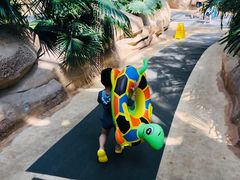 -杭州开元森泊度假乐园