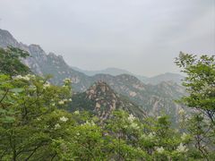 -北京凤凰岭