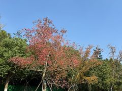 -南北湖风景区