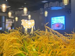 -小肥牛潮汕牛肉火锅(南联店)