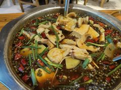 -乡土特色.冷锅鱼.牦牛肉汤锅