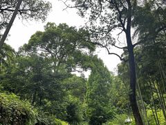 -东明山森林公园
