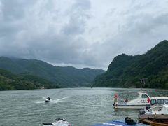 -后柳水乡