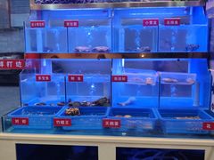 -小龍鳳·港式海鲜打边炉(沙湖路店)