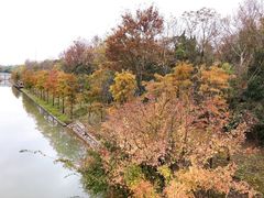 -上海海湾国家森林公园