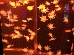 -多彩贵州城极地海洋世界