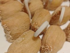 -领事馆19号中餐厅(厦门海景洲际酒店)