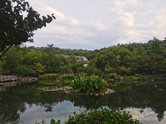 -杭州雅谷泉山庄酒店-餐厅