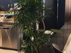-gaga(深圳福田星河COCO Park店)