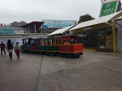 -证大大拇指广场(芳甸路店)