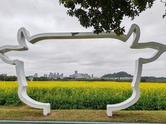 -光明小镇欢乐田园