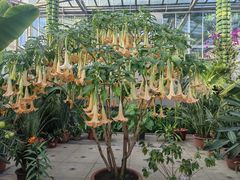 -国家植物园南园