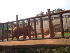 -昆明动物园