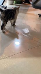 -众刺纹画·纹身·穿孔饰品·海娜定制