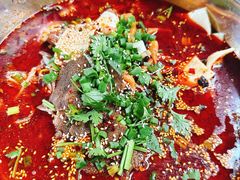 -蓉城西二道无名冒菜(西二道街店)