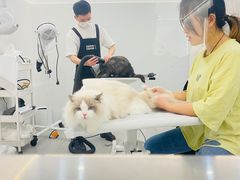 -comecome来吧宠物(奥克斯中心店)