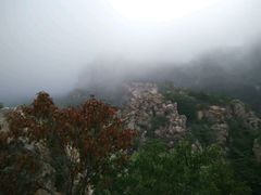 -广鹿岛景区