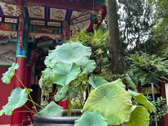 -南岳明心寺