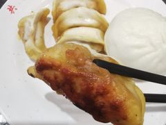 鲜肉锅贴-共和春(甘泉路店)
