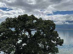 -南诏风情岛