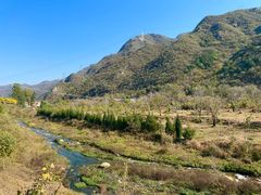 -金岳台私汤温泉度假山庄·创意餐厅(昌平十三陵店)