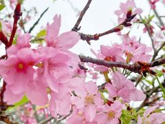 -聚龙山公园