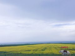 -青海湖国家重点风景名胜区
