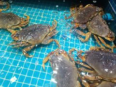 -新阿布海鲜大酒店