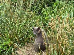 -萍乡武功山风景名胜区