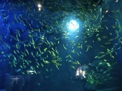 -成都浩海立方海洋公园