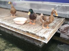 -泉乐坊步行街(烟酒特产平价超市店)