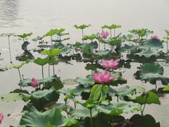 -上海市保健医疗中心