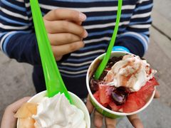 -Salud撒露欧洲冻酸奶(蓝色港湾店)