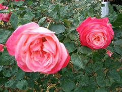 -人民公园(罗湖区)