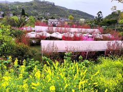 -桃源山庄·水蜜桃采摘·柴火鸡·烧烤团建(龙泉山店)