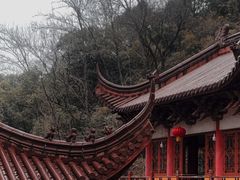 -云碧峰国家森林公园