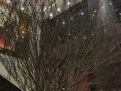 -畔山酒店中餐厅