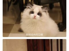 -月下料理(楷林IFC店)