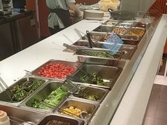 -油梨树 AVOCADO TREE(亮马桥店)