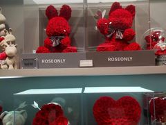 -ROSEONLY诺誓(国际广场购物中心店)