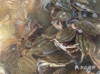 爱吃蟹的小伙伴快来头茬梭子蟹上市啦