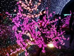 -横店影视城梦幻谷园区