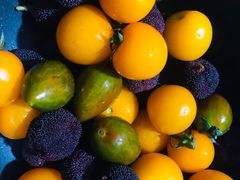 -小稻田辣椒炒肉(大浪商业中心店)