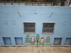 -青藏高原野生动物园