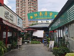 -曲阳花鸟市场(曲阳路店)